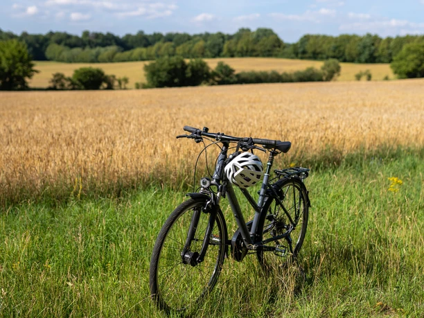 Ausflug mit dem Fahrrad Ausflug mit dem Fahrrad. Ein Fahrrad steht auf einer Wiese vor einem Feld auf der Tour de Grass.