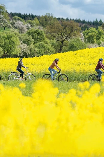 Fahrradfahrer im Rapsfeld auf der Tour de Grass Fahrradfahrer im Rapsfeld auf der Tour de Grass.