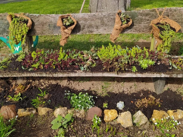 20240411 Naumburg Heimarshausen Weisser Garten