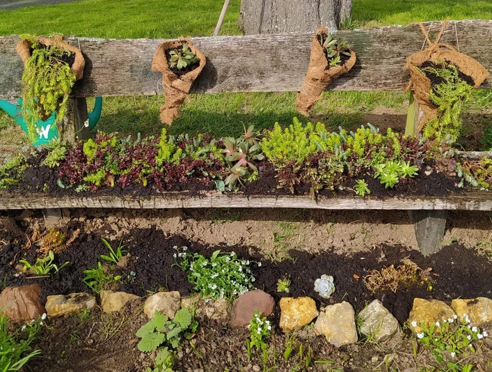 20240411 Naumburg Heimarshausen Weisser Garten
