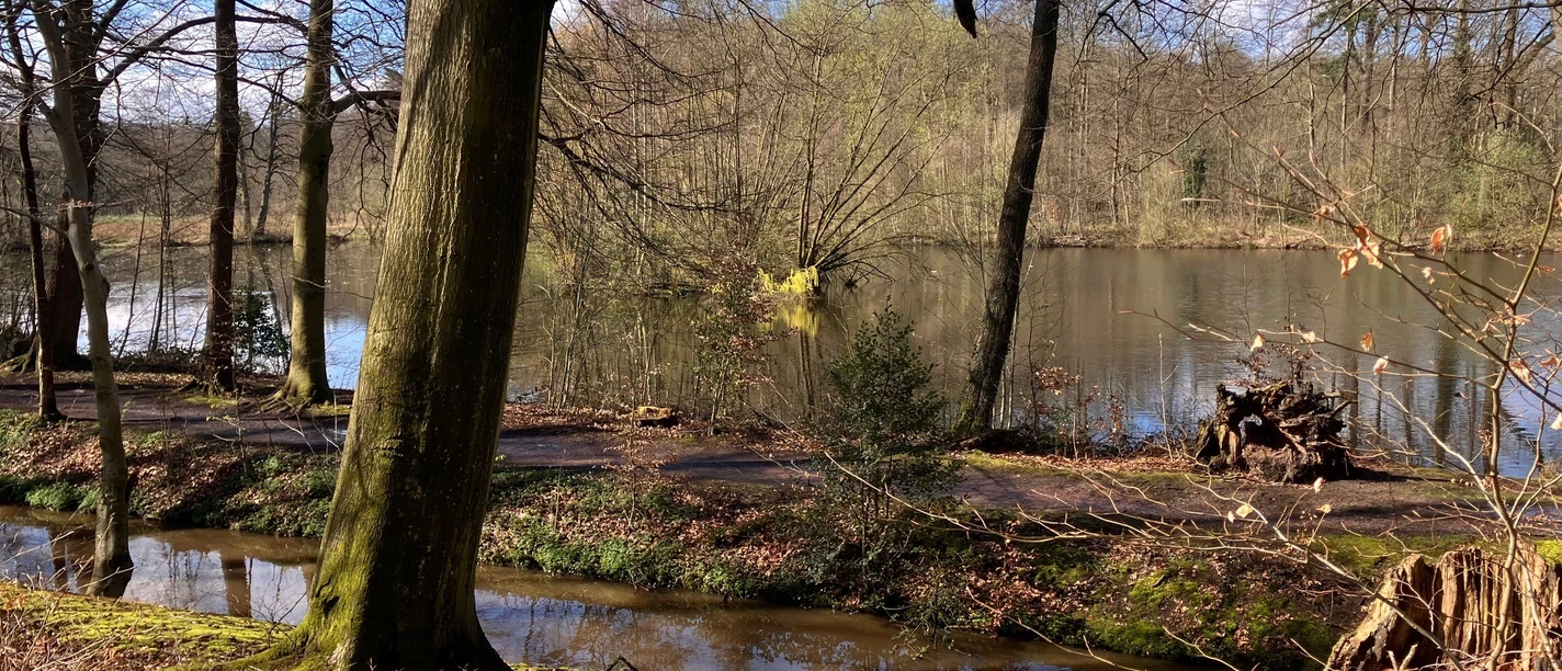 Klosterforst_Foto Dagmar Schmidt.jpg