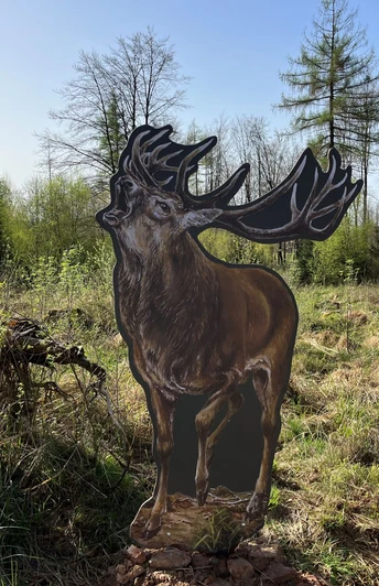 Hirsch Osterbachrundwanderweg