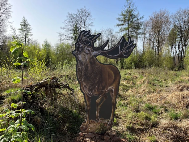 Hirsch Osterbachrundwanderweg