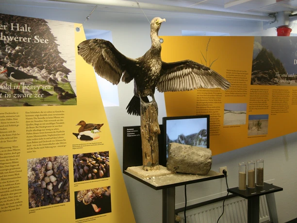 Nationalpark-Ausstellung
