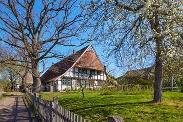 Windheim No2 | Historische Hofstelle mit Café und Storchenmuseum Fachwerkhof mit Strohdach, Grünfläche, blühende Bäume; Nutzung als Café und Storchenmuseum in Petershagen.