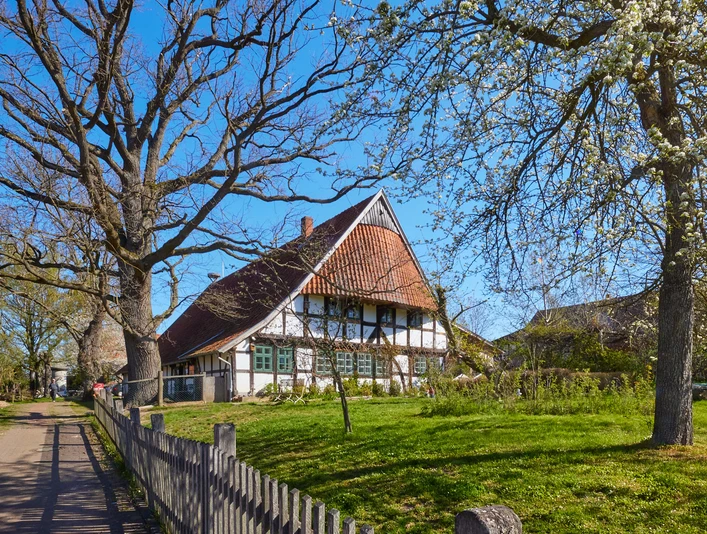 Windheim No2 | Historische Hofstelle mit Café und Storchenmuseum Fachwerkhof mit Strohdach, Grünfläche, blühende Bäume; Nutzung als Café und Storchenmuseum in Petershagen.