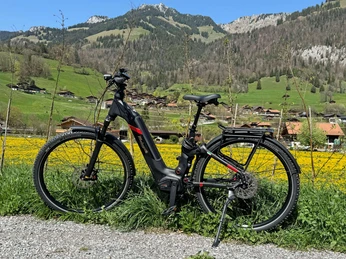 Online reservierbares E-Bike