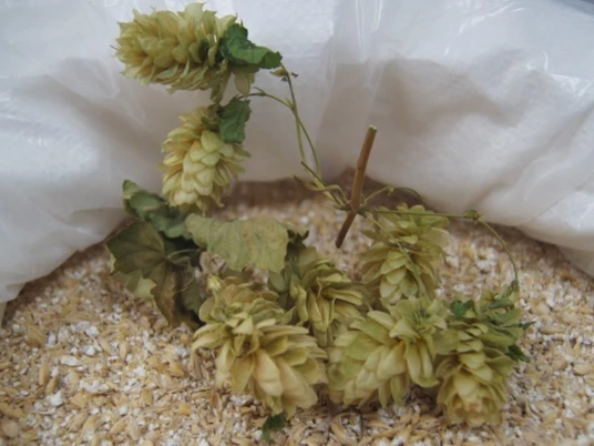 Brauerei Vitznau.jpg