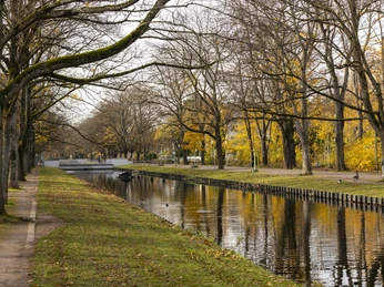 Rautenstrauch Canal Herbstlicher Kanal mit kahlen Bäumen und stiller Reflexion im Wasser. Spazierweg am Ufer.Autumnal canal with bare trees and a quiet reflection in the water. Walk along the bank.