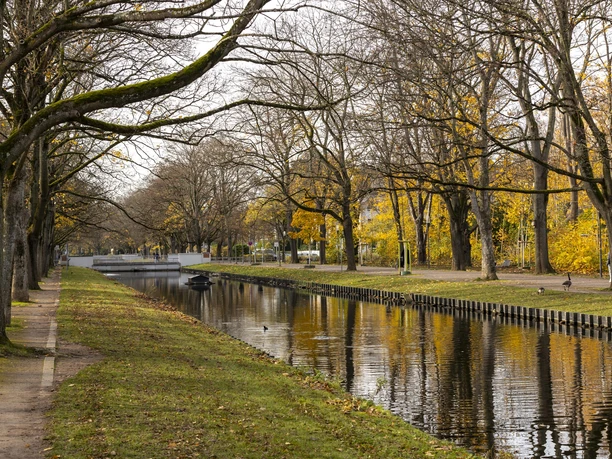 Rautenstrauch Canal Autumnal canal with bare trees and a quiet reflection in the water. Walk along the bank.