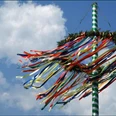 Maibaum.jpg