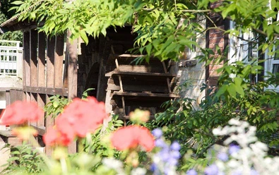 mühlrad-blumen.jpg