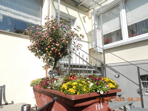 Eingangsbereich mit dekorativen Blumenarrangements auf einer Treppe vor einer Hotel-Fassade.