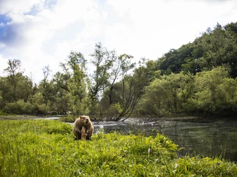 biber-an-der-diemel c) sabrinity.jpg