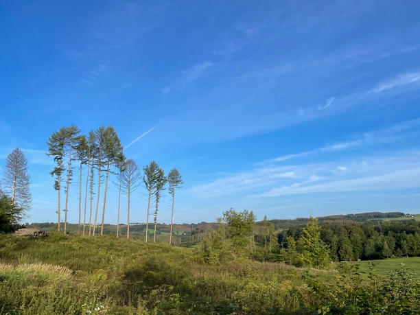Landschaft an der Hexeneiche