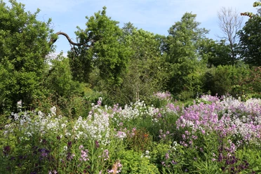 Mori-Garten Odisheim