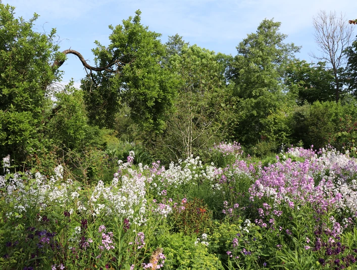 Mori-Garten Odisheim