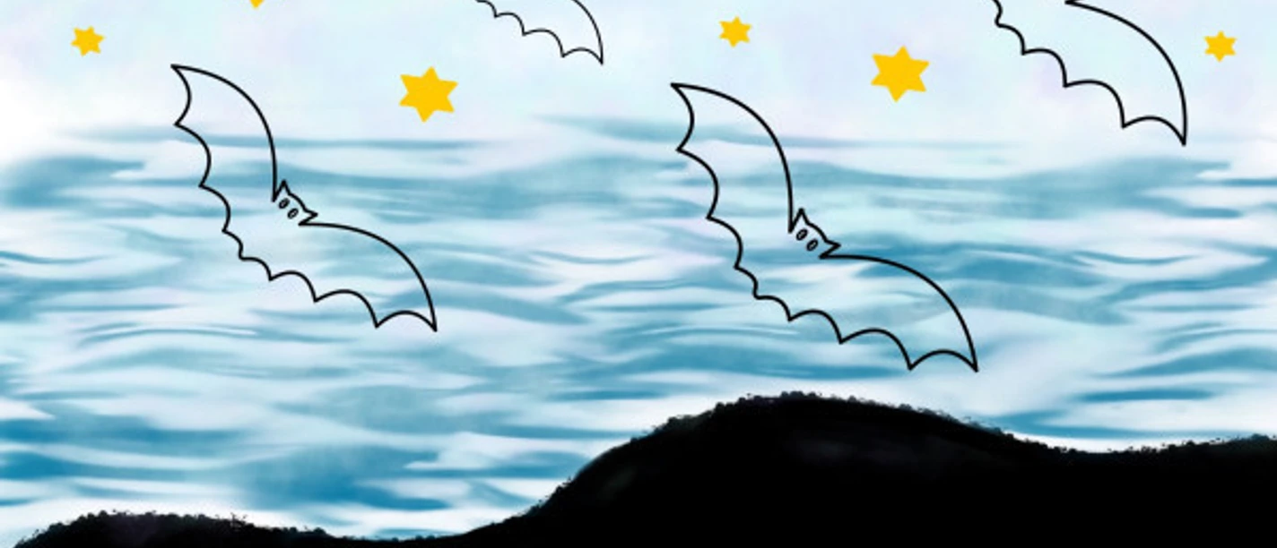 fledermaus-und-mythenwanderung-dornumersiel.jpeg