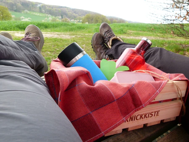 Lienen_Teutoschleife Holperdorper Picknick_Anja Schmidt.jpg Zwei Personen liegen auf einer Wiese, eine Picknickkiste mit Getränken und Decke zwischen ihnen.
