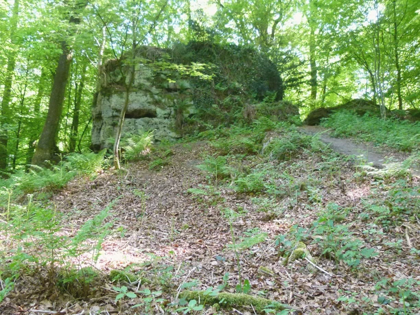 Lienen_Teutoschleife Holperdorper_Bergpfad_Anja Schmidt.jpg Ein bewaldeter Wanderweg im Teutoburger Wald mit üppigem Grün und einem moosbewachsenen Felsen.