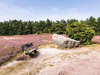 Hermann Löns Gedenkstein in der Klein Bünstorfer Heide