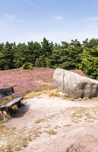 Hermann Löns Gedenkstein in der Klein Bünstorfer Heide