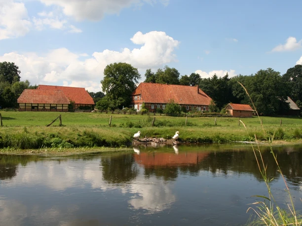 Die Ilmenau bei Klein Bünstorf