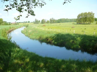 Auenlandschaft bei Gerdau