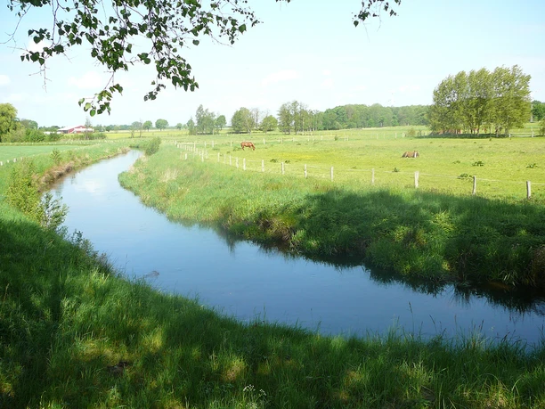 Auenlandschaft bei Gerdau