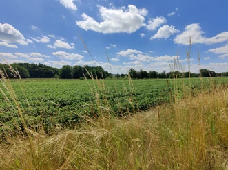 Feldmark bei Holxen