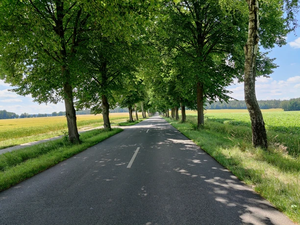 Zwischen Suderburg und Hösseringen