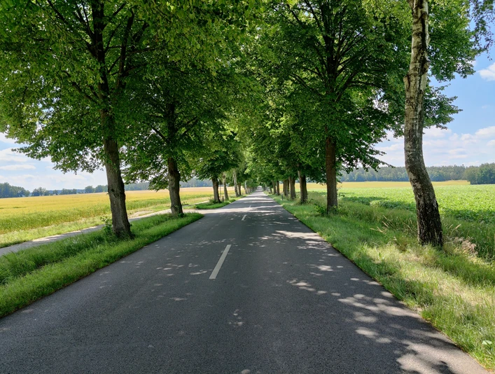 Zwischen Suderburg und Hösseringen