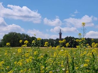 Blick auf den Aussichtsturm bei Räber
