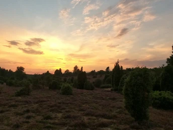 Sonnenuntergang in der Ellerndorfer eide