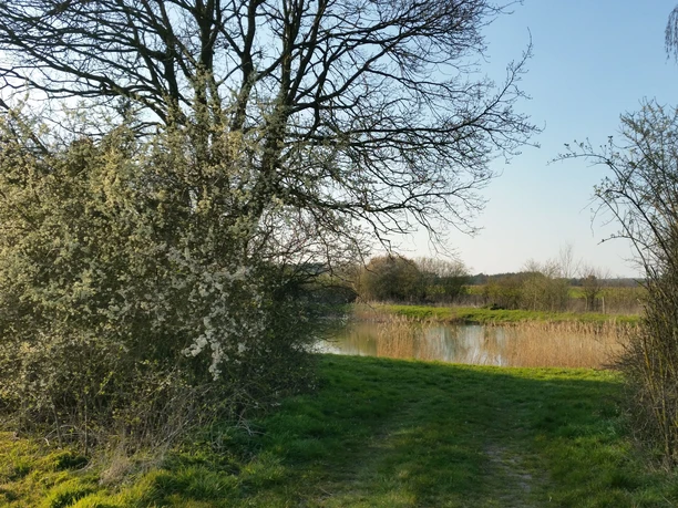 Kleiner See am Wulfstorfer Weg