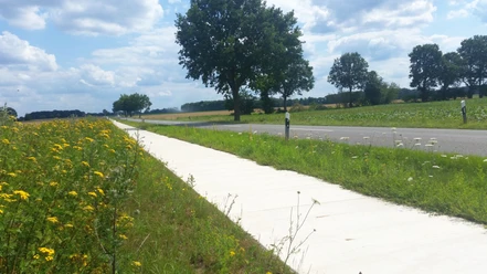 Radweg durch die Feldlandschaft zwischen Groß Liedern und Lehmke