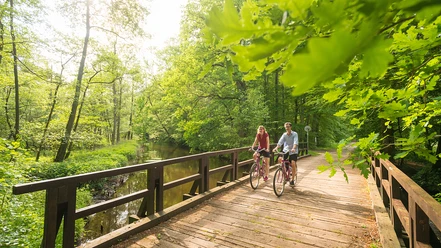 Radfahren auf der Ilmenaubrücke im Veerßer Wald