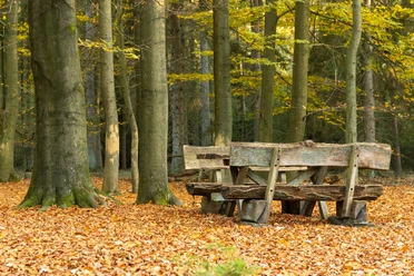 Blauer Waldpfad Lintzel