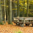 Blauer Waldpfad Lintzel