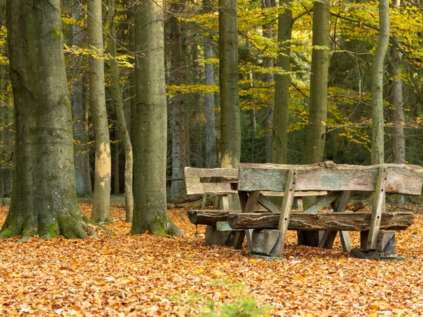 Blauer Waldpfad Lintzel