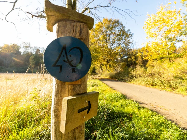 Blauer Waldpfad Lintzel