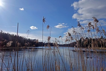 Kiehnmoor-Stausee