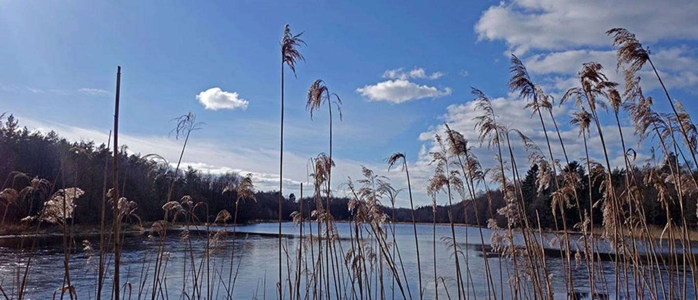 Kiehnmoor-Stausee