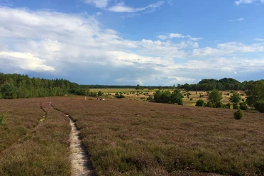 Ellerndorfer Wacholderheide