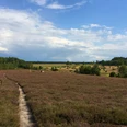 Ellerndorfer Wacholderheide