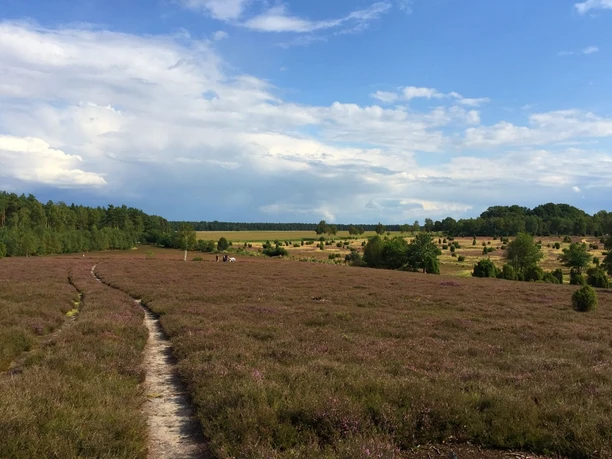 Ellerndorfer Wacholderheide