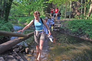 Wasserquerung Vierhundert-Wasser-Barfuß-Pfad
