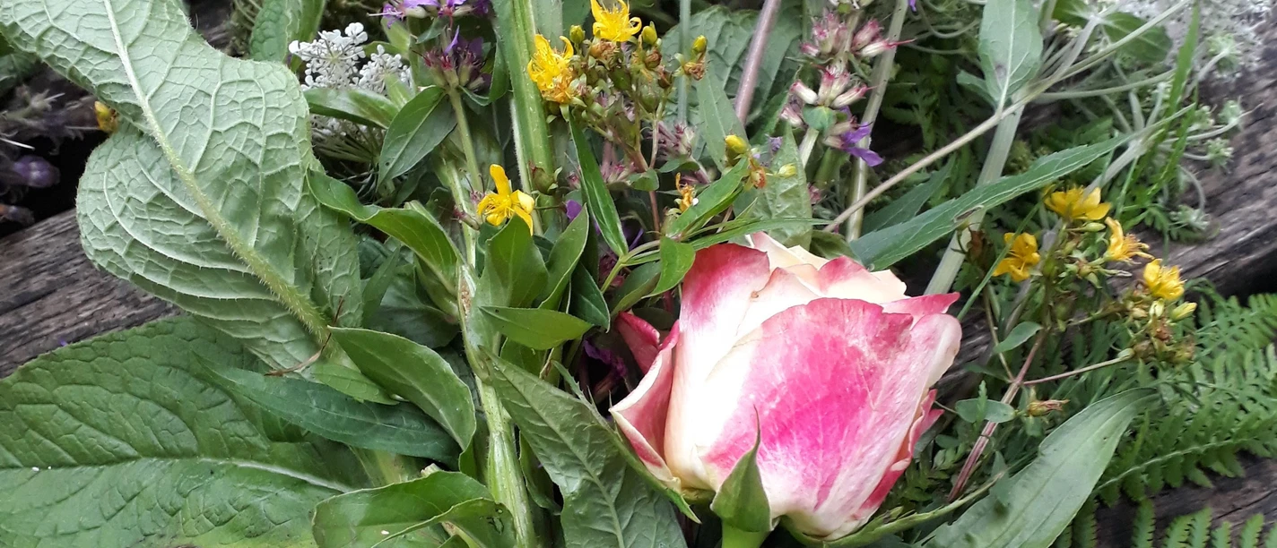 Kräuterbuschen kreieren