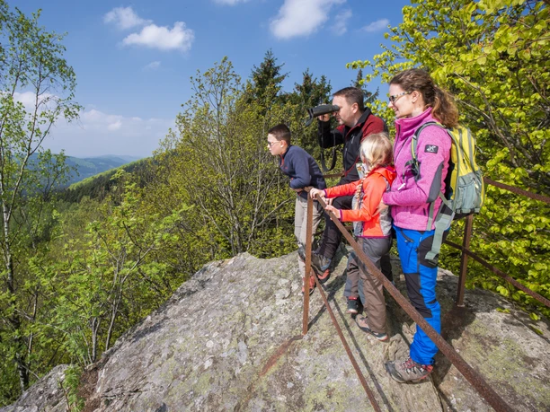 Wandern auf dem Rinsleyfelsen