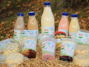 Milchhof Werning | Salzkotten-Scharmede Milchhof Werning | Salzkotten-Scharmede